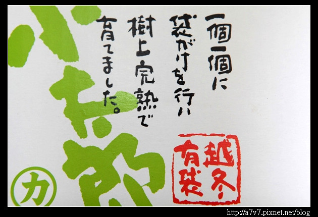 小橘C.JPG 小橘C.JPG