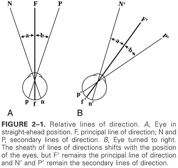 visual direction