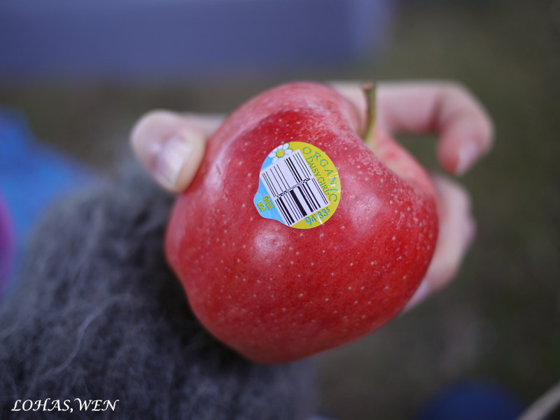 P1210631_副本.jpg P1210631_副本.jpg