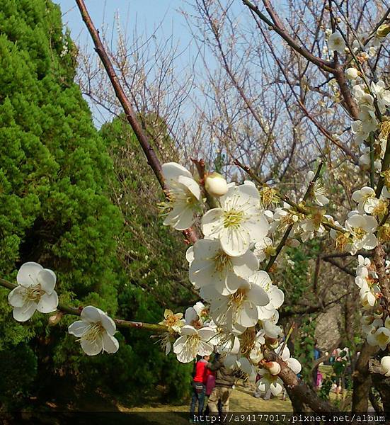 DSC_3540.JPG DSC_3540.JPG