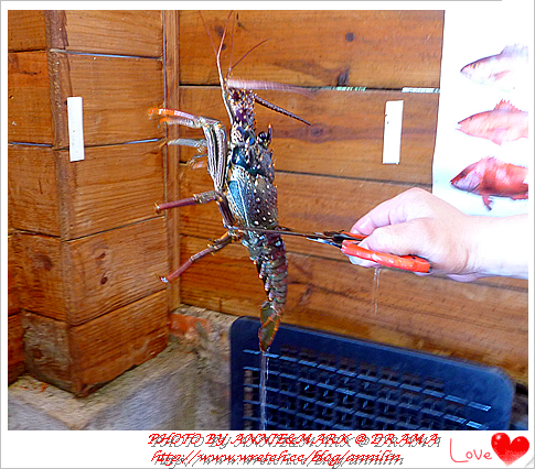 請輸入圖片標題