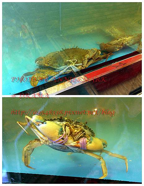 SAM_6586_副本.jpg SAM_6586_副本.jpg
