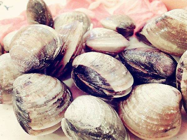 1391895_476832355757905_245646693_n