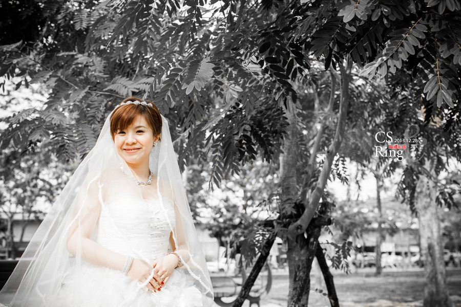 CS & Ring-41.jpg CS & Ring-41.jpg
