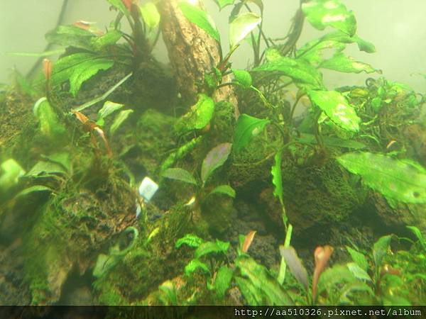 2014-09-05-19-51-39_photo