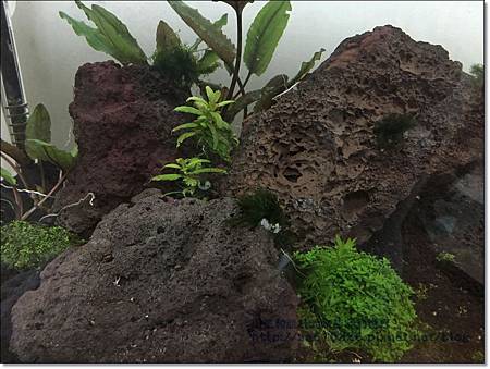 相片 2015-1-20 下午9 24 35 相片 2015-1-20 下午9 24 35