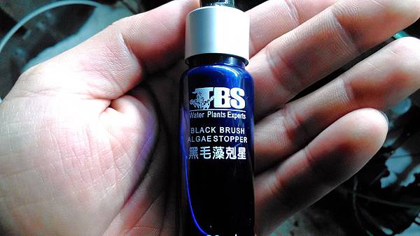 黑毛除藻 我的藻類抗戰日記:除藻記(劑)!! For 黑毛藻