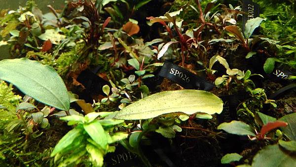 P_20150129_202452 P_20150129_202452