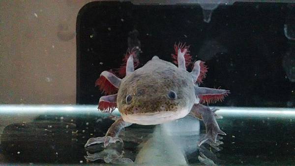 P_20150122_213403 P_20150122_213403