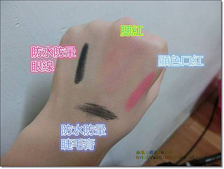 CIMG1510.jpg CIMG1510.jpg