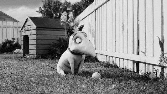 2012-10-02-frankenweenie_sparky