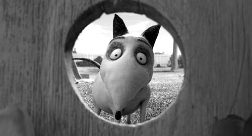 frankenweenie-sparky