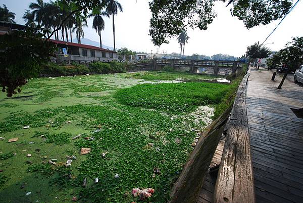 腳踏車步道污染01