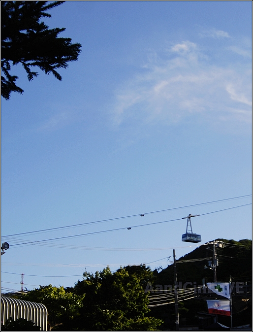 0505.jpg 0505.jpg