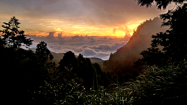 2014-07-20 15.39.40-E.png