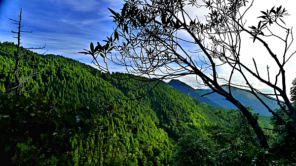 2014-07-20 15.48.37-E.png