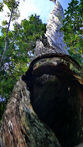 2014-07-20 15.50.44-E.png