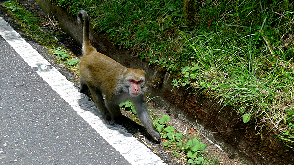 2014-07-20 16.22.45-E.png