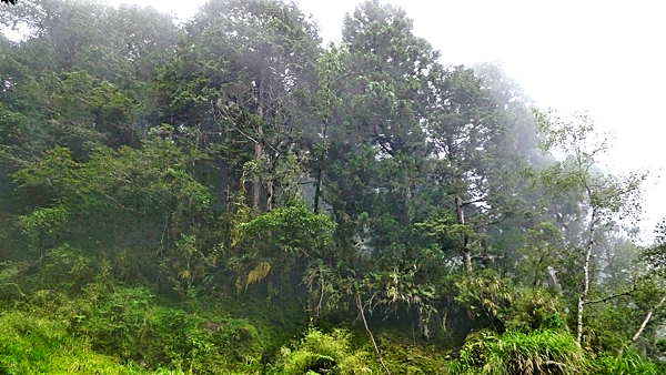 2014-07-20 16.25.00-E.png