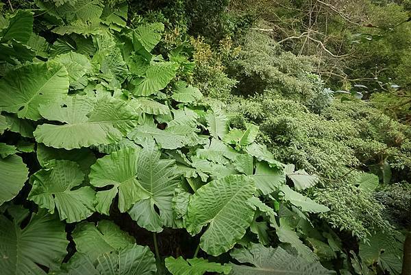 2014-03-01 19.20.22-15.jpg