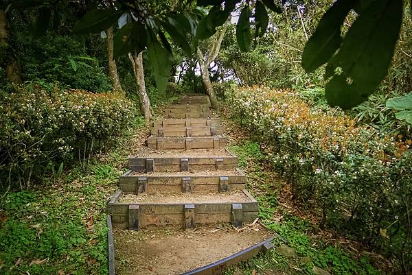 2014-03-01 19.21.20-14.jpg