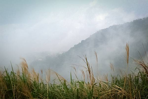 2014-03-01 19.26.07-19.jpg