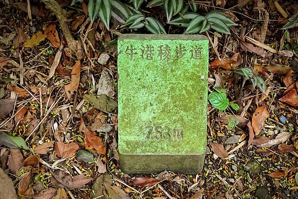 2014-03-01 20.23.04-21.jpg