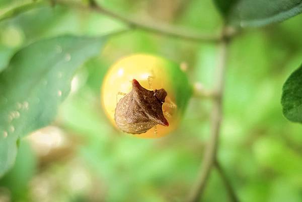 2014-03-01 20.26.15-23.jpg