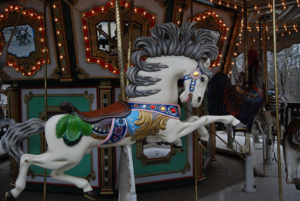 DSC_3835.JPG DSC_3835.JPG