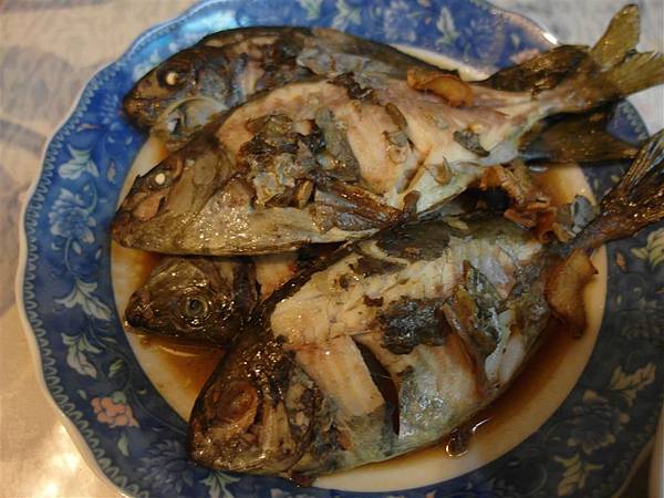 SAM_4312.JPG SAM_4312.JPG