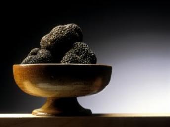 Truffe-Noire1.jpg Truffe-Noire1.jpg