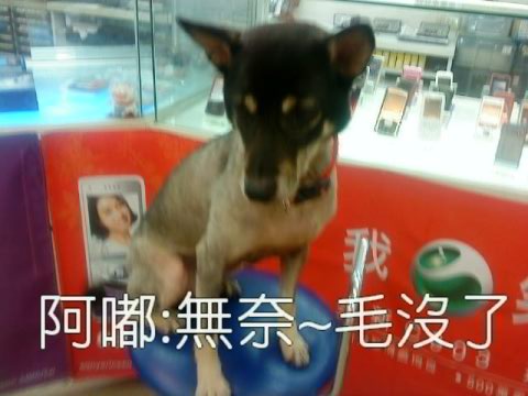 圖檔