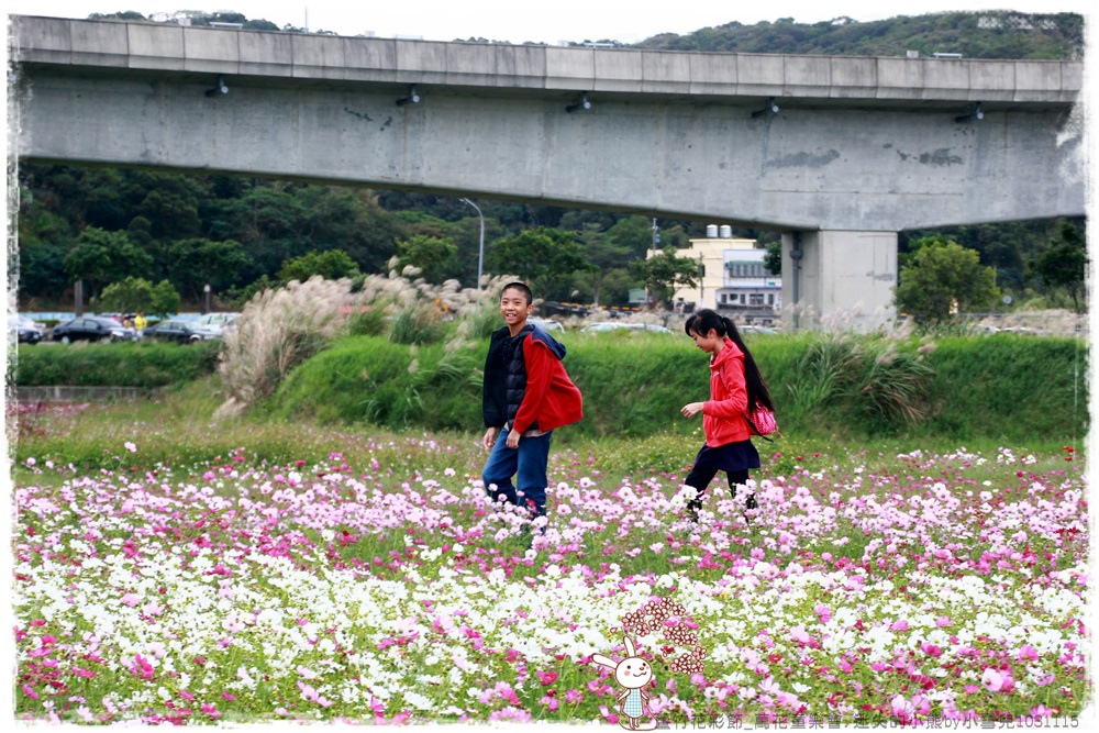 蘆竹花彩節.迷失的小熊by小雪兒1031115IMG_5393.JPG