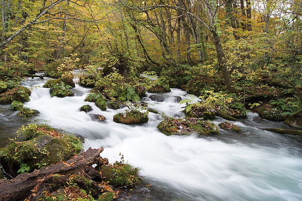 DSC01689.JPG DSC01689.JPG