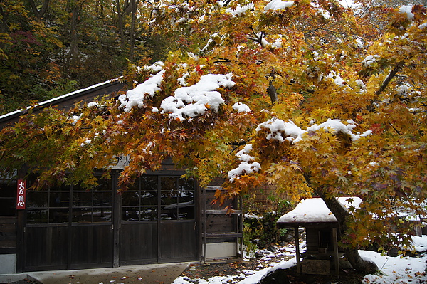 DSC02286.JPG DSC02286.JPG