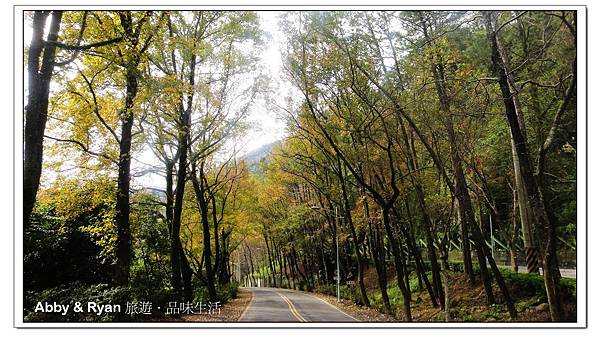 newDSC07145.jpg newDSC07145.jpg