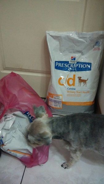 1418304566-3573835694