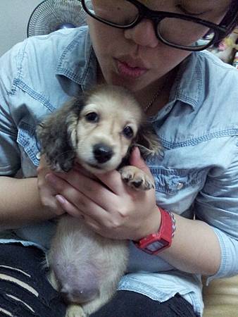 20120618_221157 20120618_221157