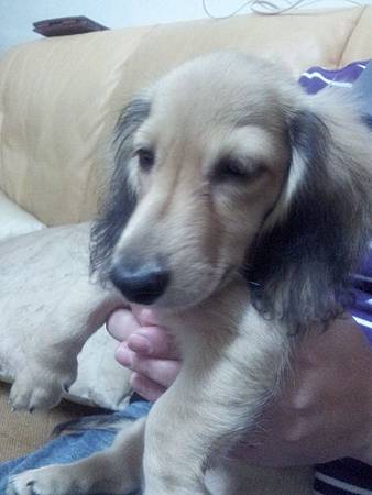 20120721_215228 20120721_215228