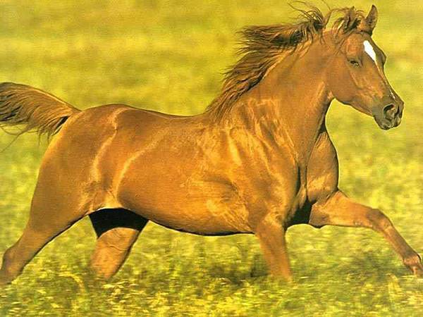 10341960_705177529537299_5008133142714368330_n