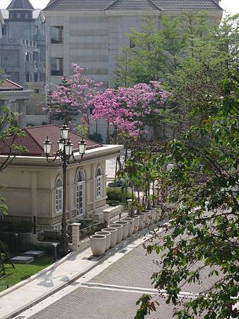 IMG_0342 IMG_0342