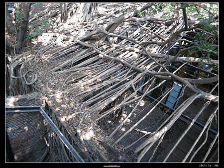 IMG_3142.JPG IMG_3142.JPG