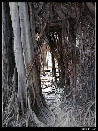 IMG_3148.JPG IMG_3148.JPG