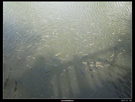 IMG_3160.JPG IMG_3160.JPG