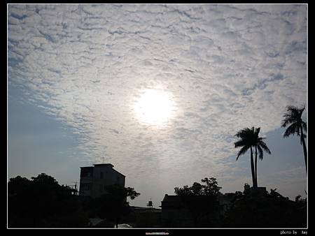 IMG_3184.JPG IMG_3184.JPG