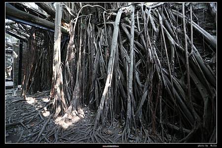 IMG_7299.JPG IMG_7299.JPG