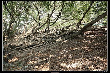 IMG_7329.JPG IMG_7329.JPG