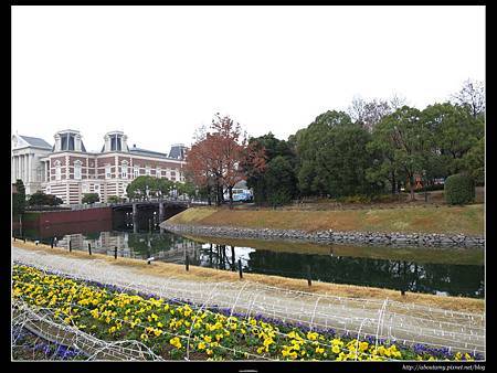 IMG_0330.JPG IMG_0330.JPG