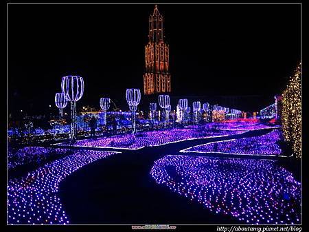 IMG_0446.JPG IMG_0446.JPG