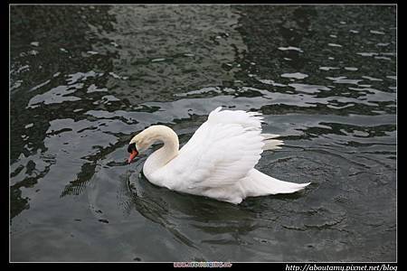 IMG_8759.JPG IMG_8759.JPG